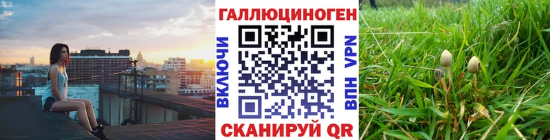 Галлюциногенные грибы Psilocybe  Норильск 