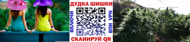 KRAKEN ссылки  где найти   Норильск  Конопля AK-47 